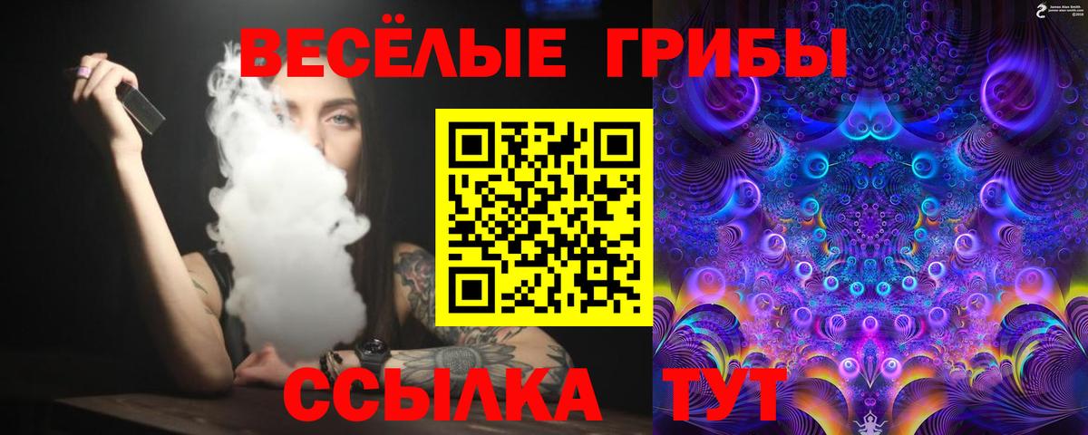 где продают   Галлюциногенные грибы Magic Shrooms  Вход с VPN  Дзержинский 